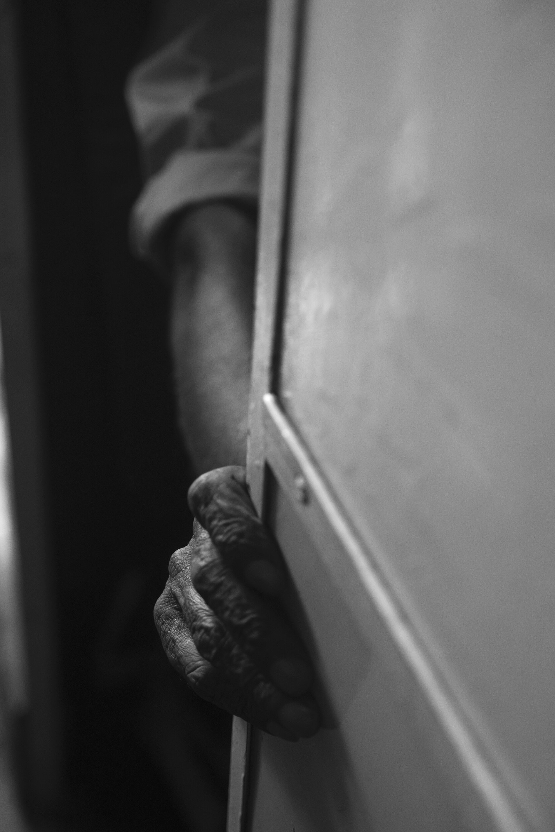 Galle_Trein_Hand_zw.jpg