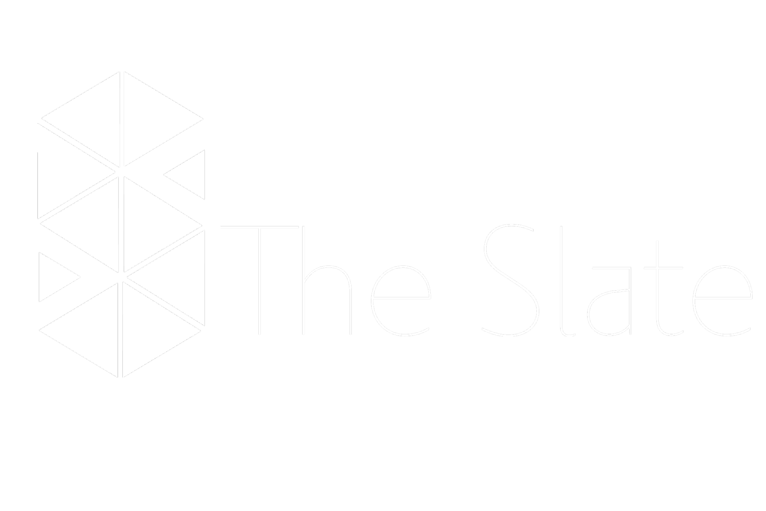 The Slate logo white full.png