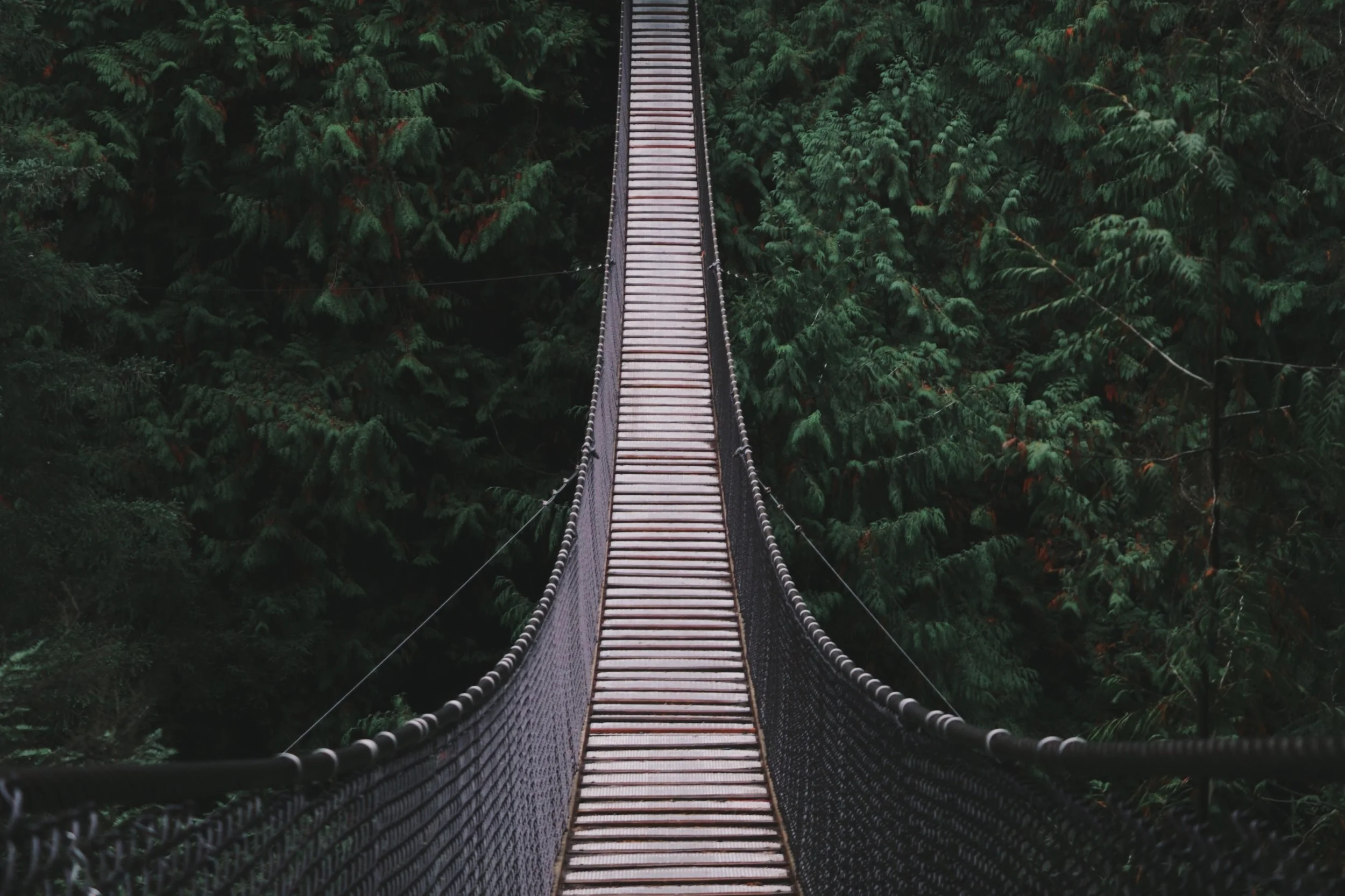 BROKERS BRIDGING THE GAP