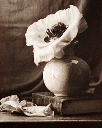 Poppy, vase, book, Sheffield. Printout platinum-palladium image on Hahnemuhle paper. This appears among the 2019 contest winners in Black and White magazine (USA), October 2020. #alternativeprocessphotography #altprocess #blackandwhite #chrysotype #c