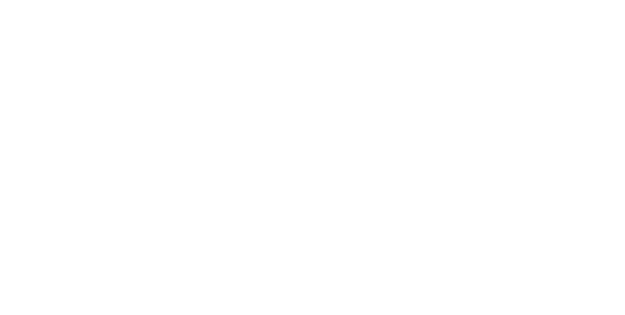 The Veil Brewing Co.