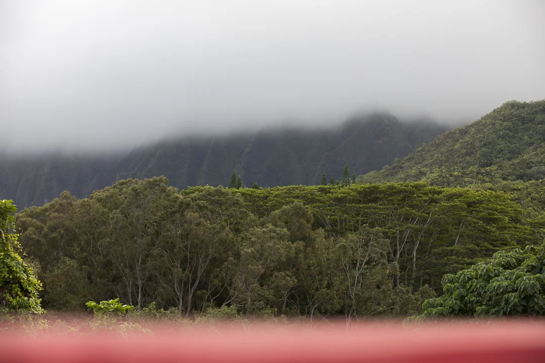 2017.12_Hawaii_kahaluu_web-10.jpg