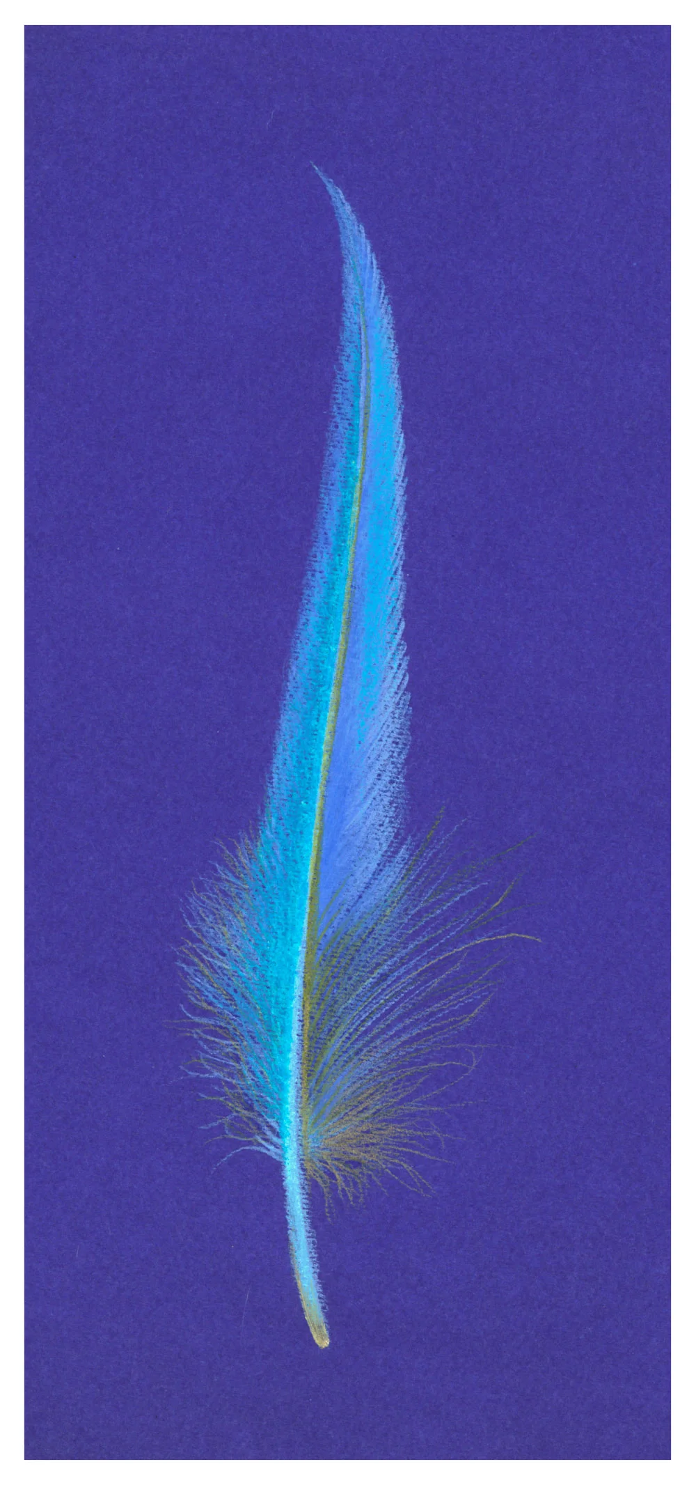 Feathers_-BleuChansont.jpg