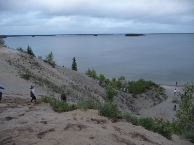 Sandy Banks