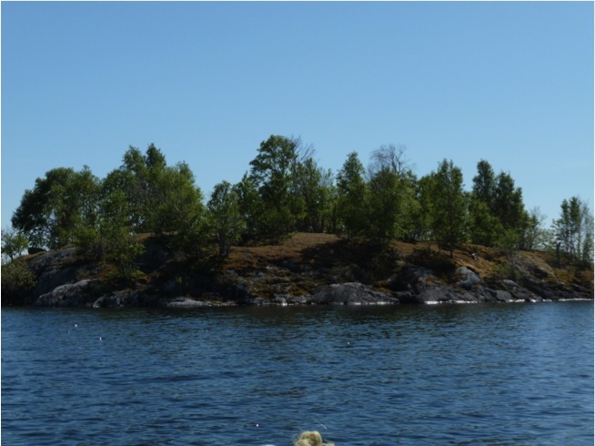 Tern's Nest Island