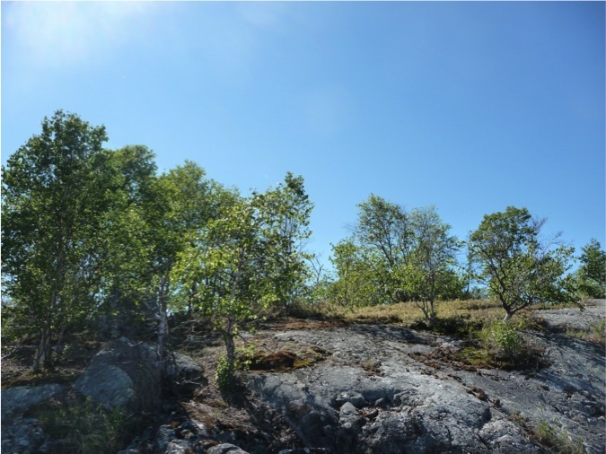 Island