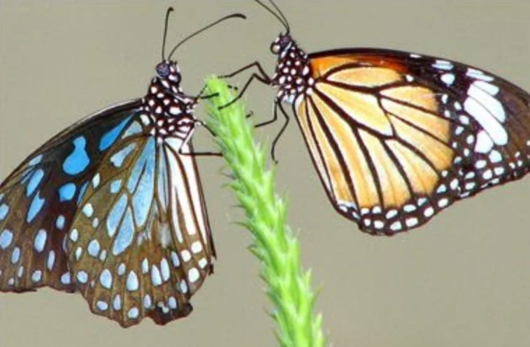 April 9th 2023: Dream Away - Part II