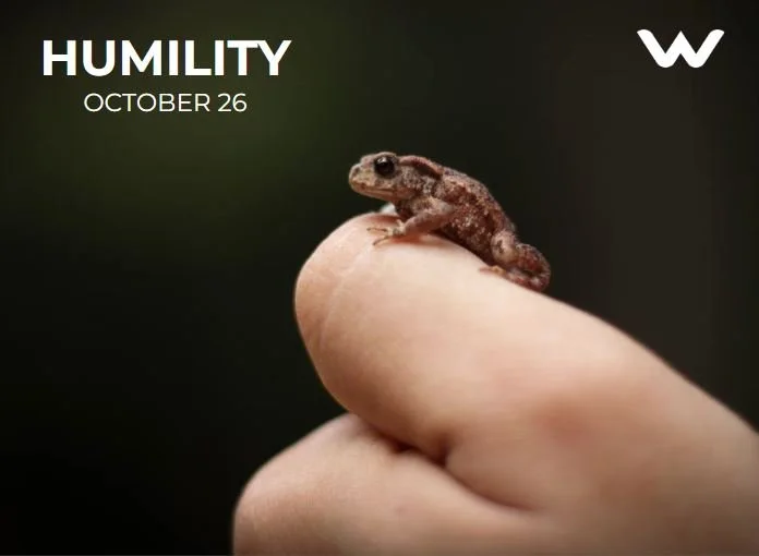 The Quiet Power of Humility
