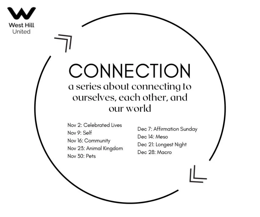 CONNECTION SERIES