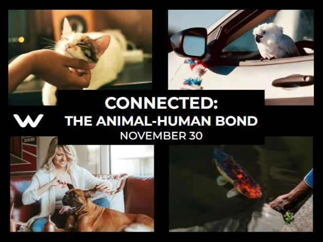 Connected: Pets &amp; human bonding
