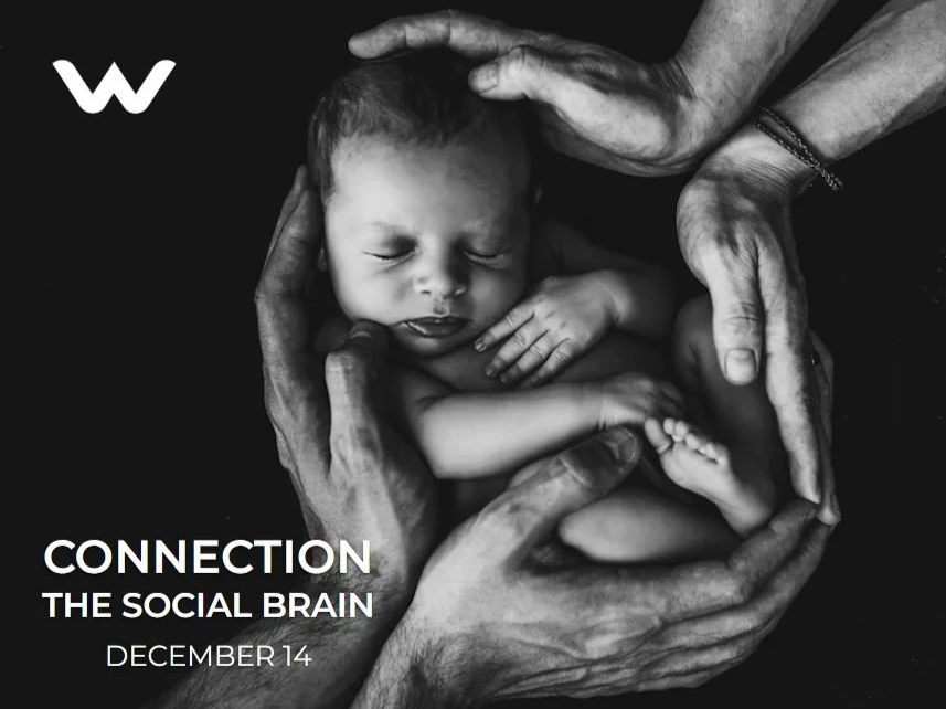 Connected: The Social Brain