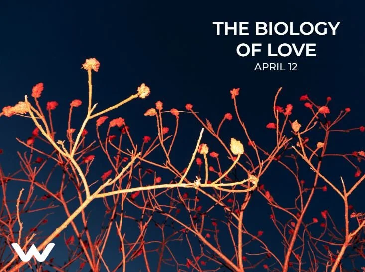 The Biology of Love