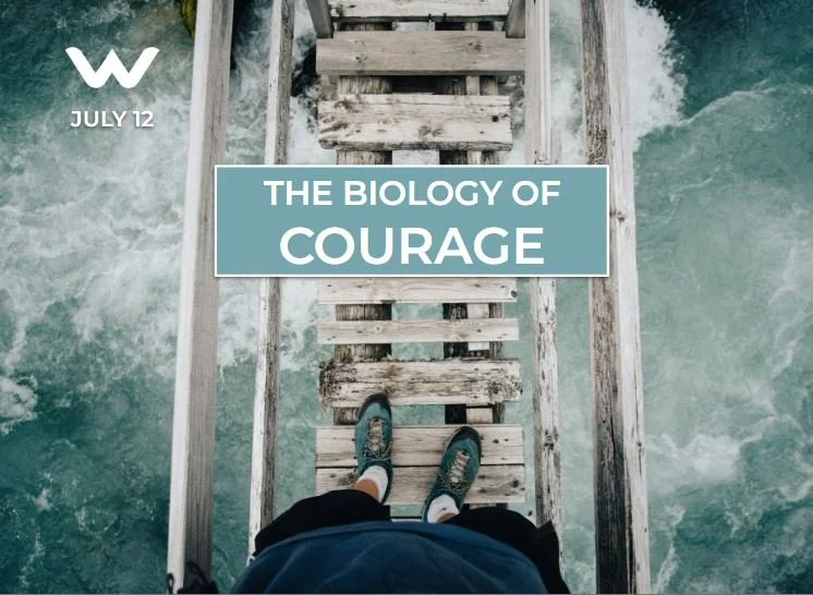 The Biology of Courage