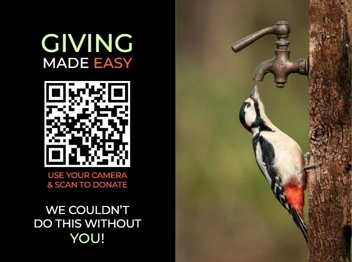 giving made easy.JPG