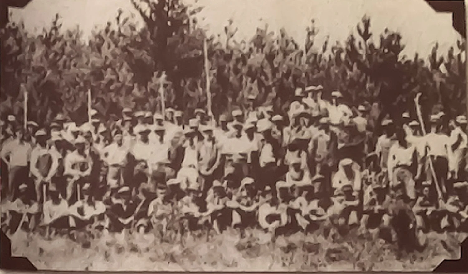 About the Town of Drummond — Town of Drummond WI Bayfield County