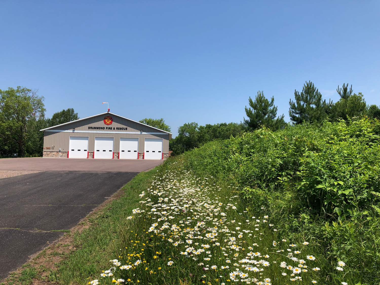 Fire Hall in Summer with Daisies.png