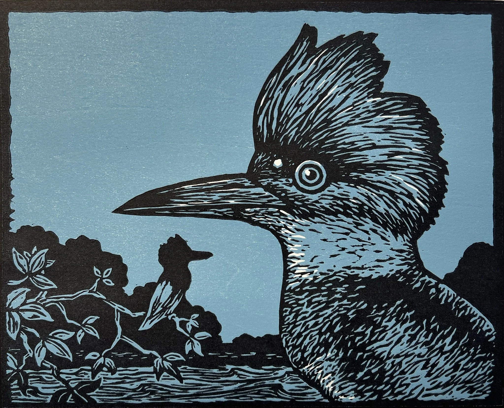 David Everett
&quot;Kingfisher&quot;
Color woodcut
2023
Image Size: 8&rdquo; x 10&rdquo;
Paper Size: 12 3//4 x 14 inches
Edition of 20
Rives Lightweight paper
$550

David Everett's art practice is drawn from the natural world. He is best known for hi