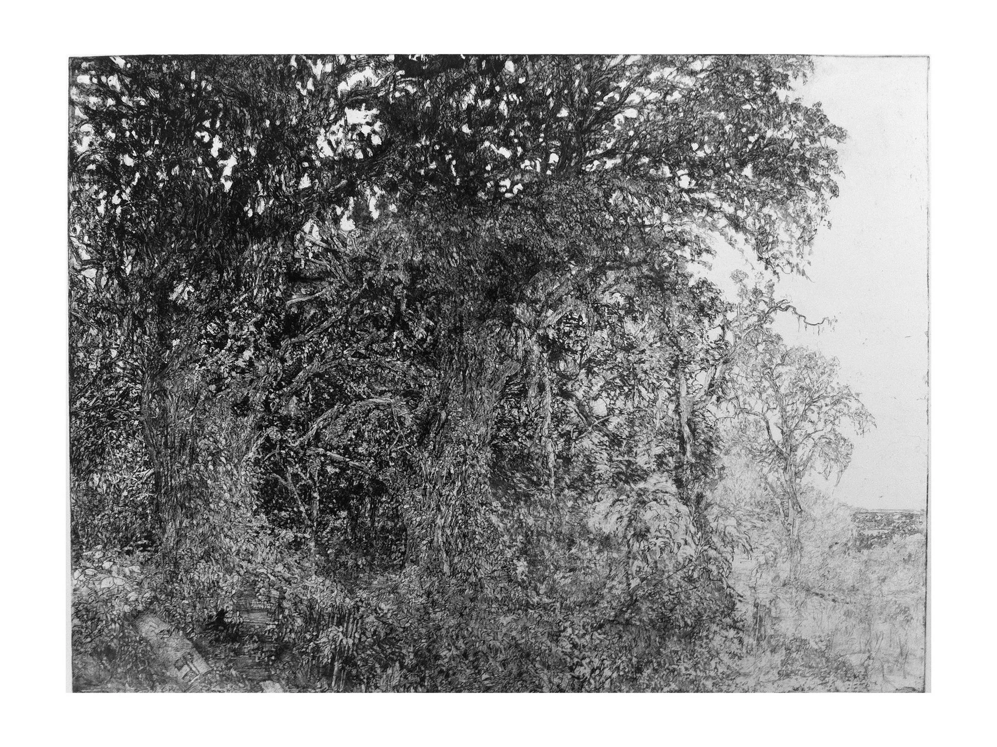 John Cobb
&quot;The Thrasher Place&quot;
Soft ground, drypoint and line etching
2012
Edition of 30
Image size: 22 1/4 x 27 1/2 in
Paper size: 29 1/4 x 36 1/4 in
$1,800

This place doesn't exist anymore.  John Cobb who lives adjacent to the Thrasher P