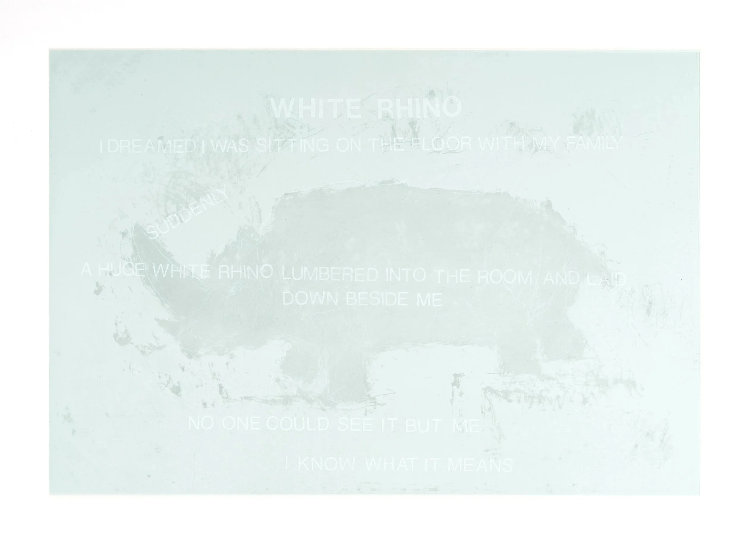 Terry Allen, "White Rhino"