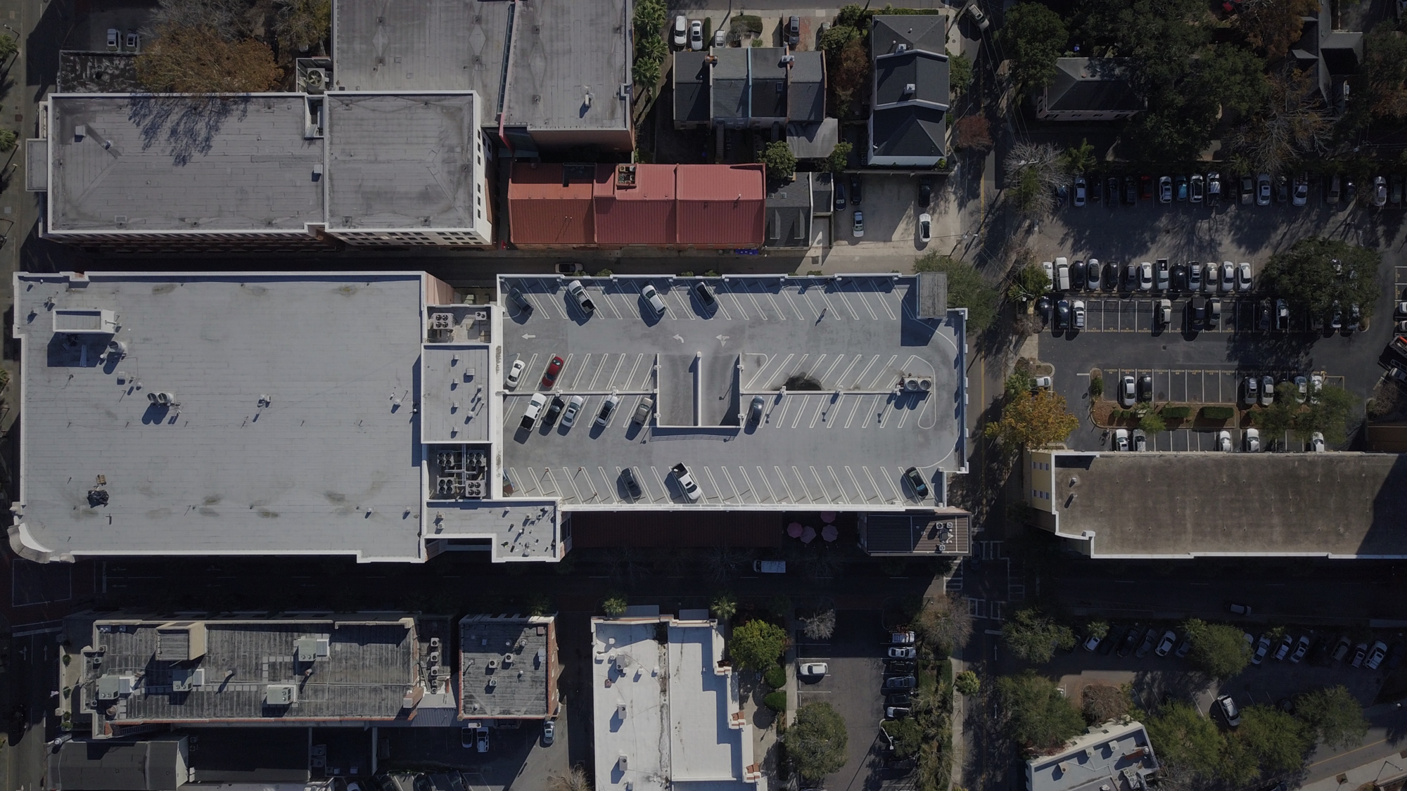 david-martin-_vzoNdScSAE-unsplash.resized.png