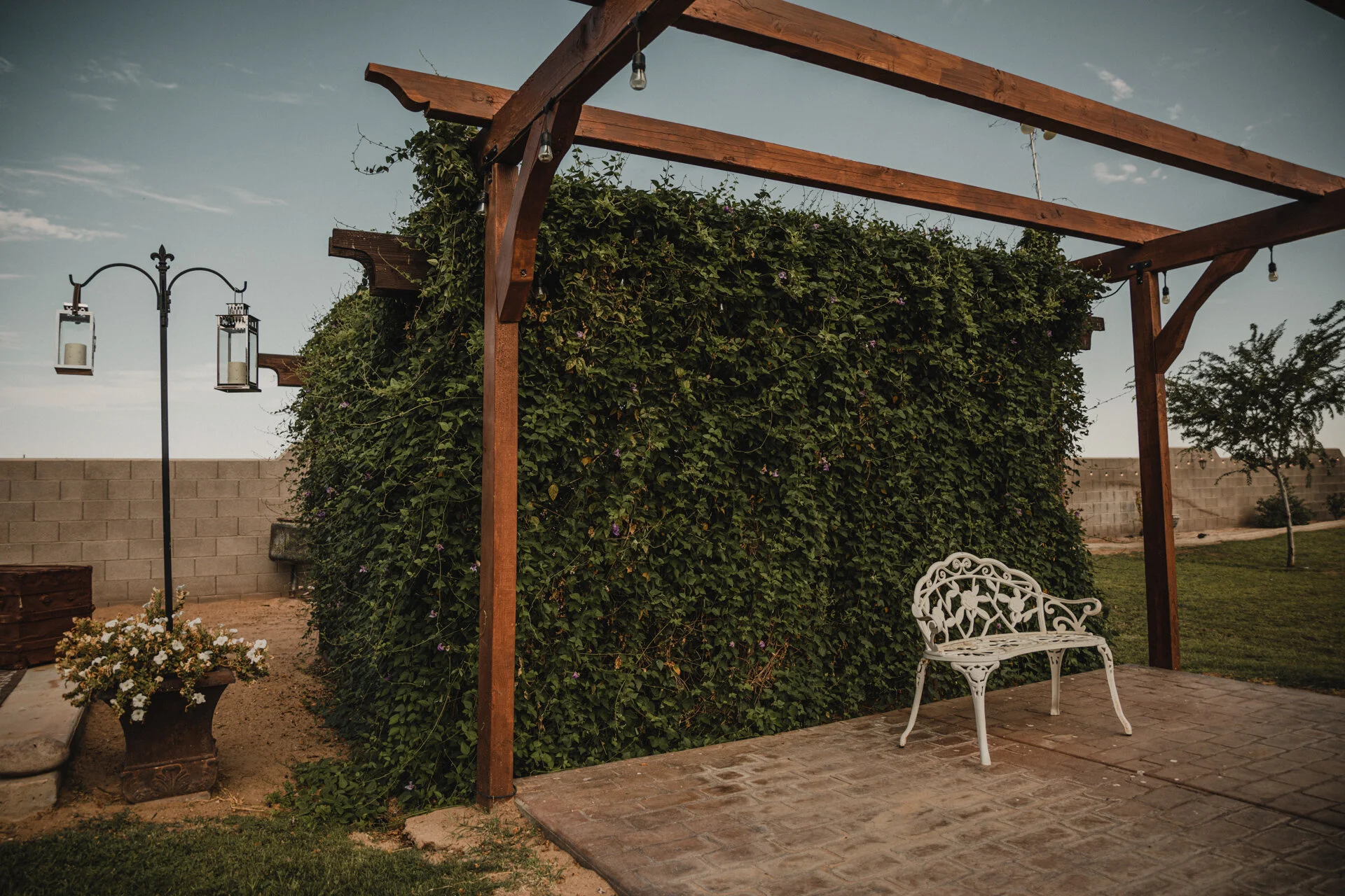 Ceremony pergola surrounded by lush greenery.