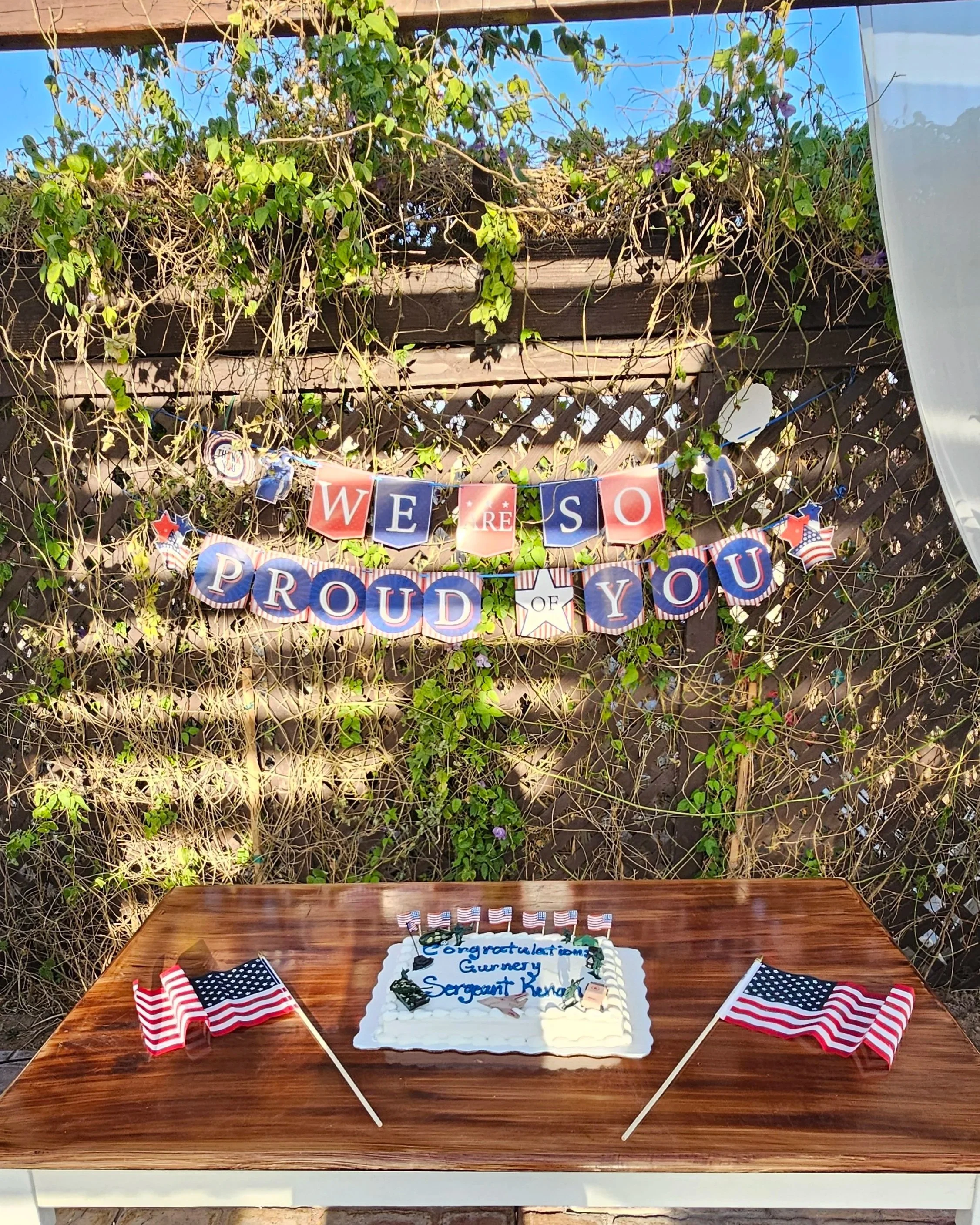Patriotic celebration display with themed dessert table.