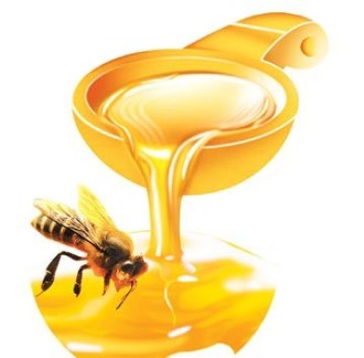 honey bee
