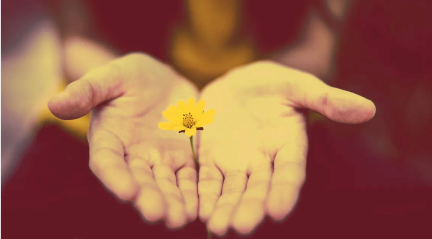 psychology-neuromarketing-consumer-behavior-apologies-emotions