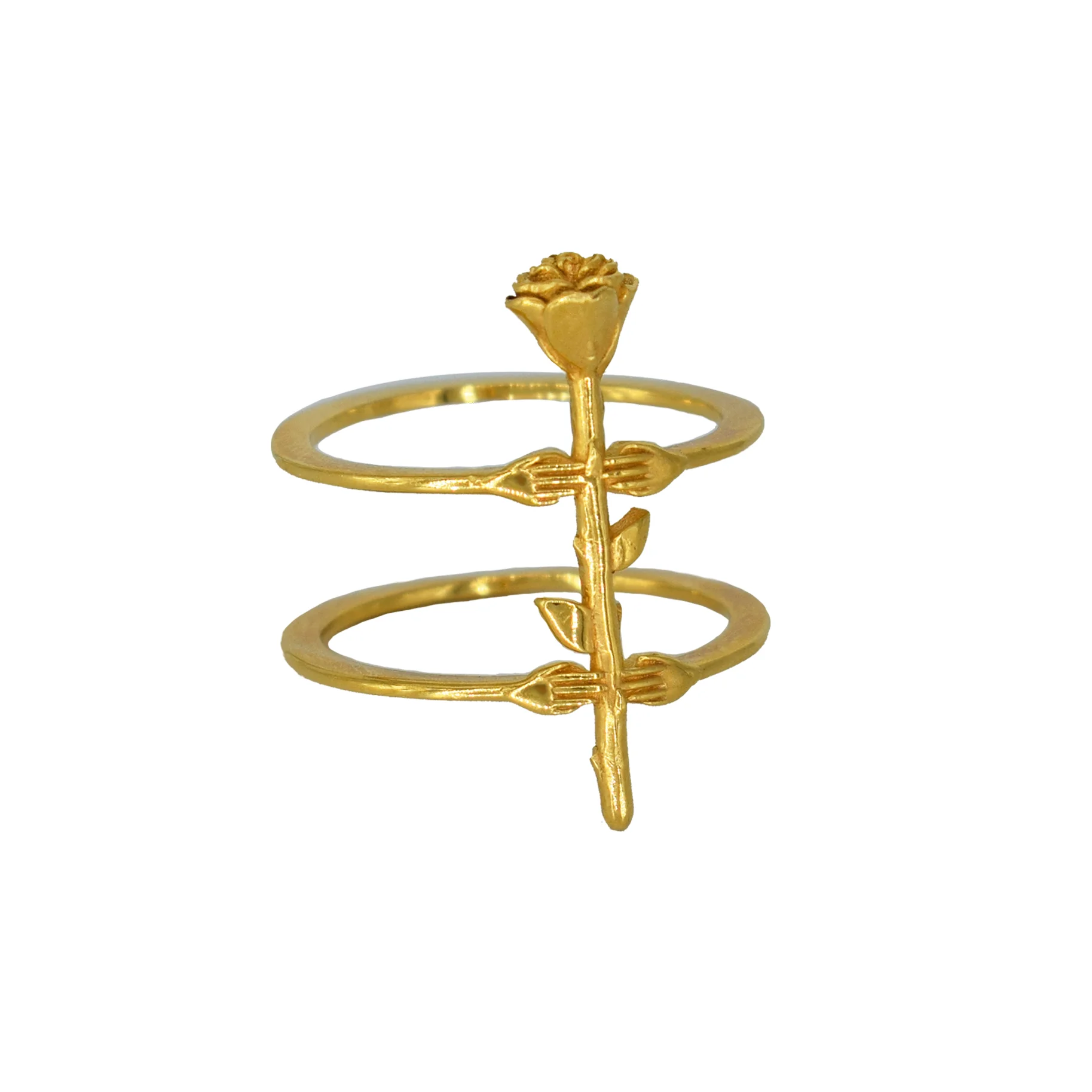 Hands and Rose Ring 1 jpeg.jpg