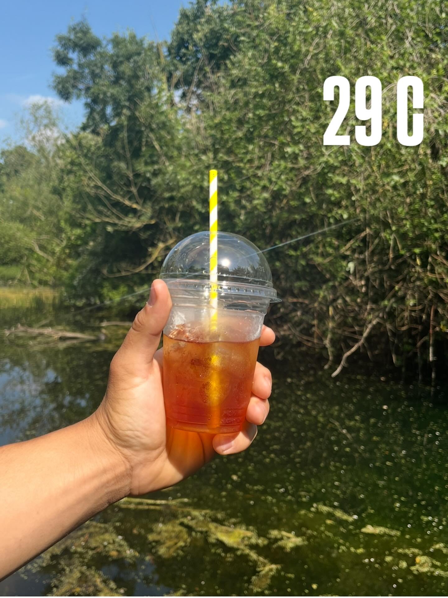 Too hot to think&mdash;iced tea &amp; coffee doing all the work today. 🧋☀️@thehubvictoriapark

#icedtea #icedcoffee #homemadecakes #eastlondon #festivalweekend #victoriapark #homemadefood #playground