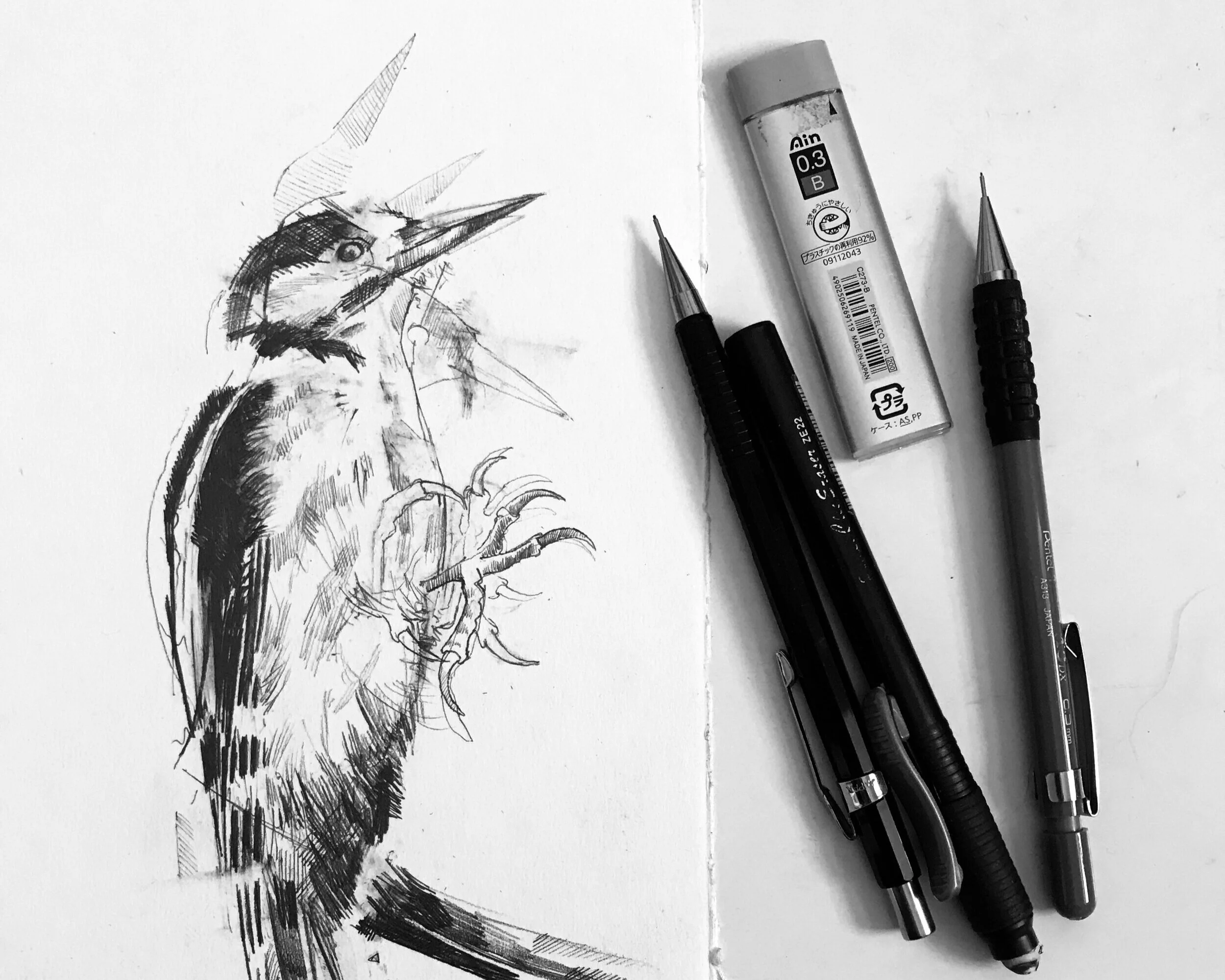 Ground Works: Landlinks Exhibition