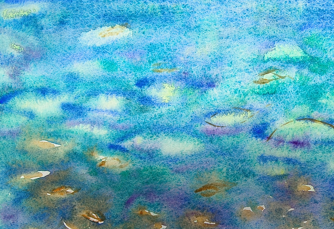 Profusion - The Colour Collective