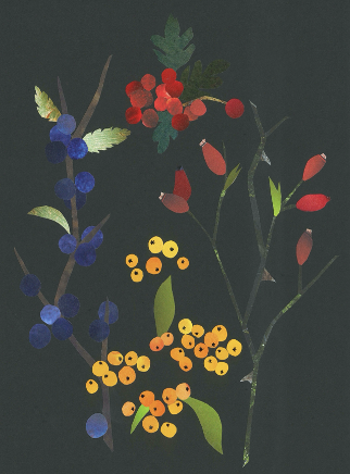 The Winter Garden - a botanical papercut workshop with Shelley Saguaro.