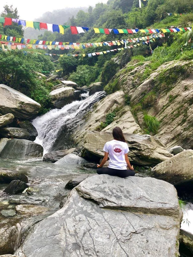 Introspection