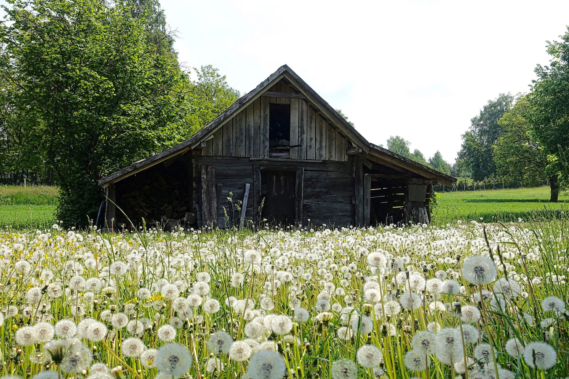 shed-1587802_1920.jpg