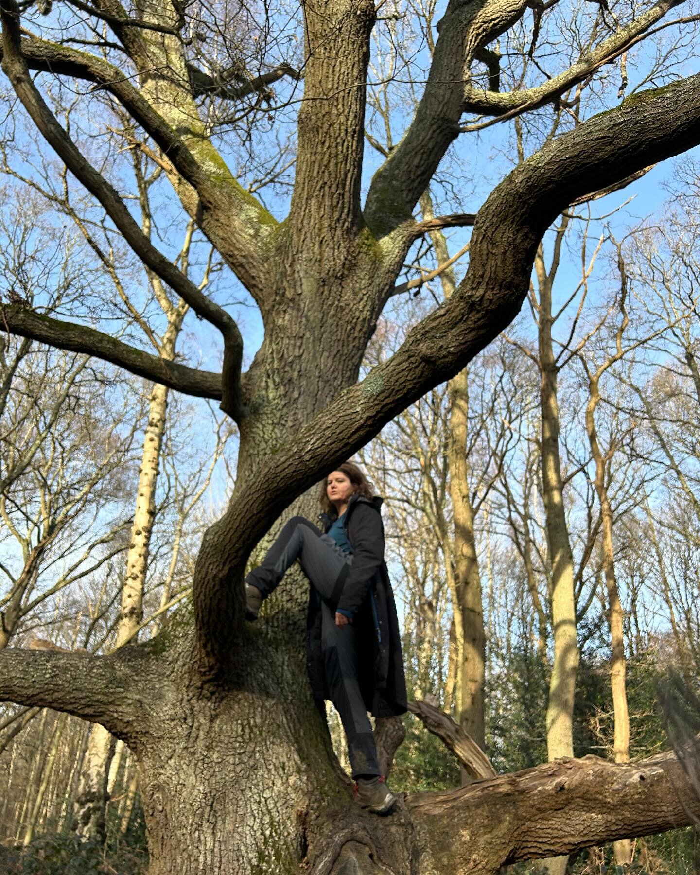 Knee to chest pose. I love the way yoga gives me the confidence to move about the trees! I used to love climbing trees and now in my second spring I&rsquo;m back to climbing them. #balance #strength #yogaforlife #yogaforhealthyaging #yogaforbalance #