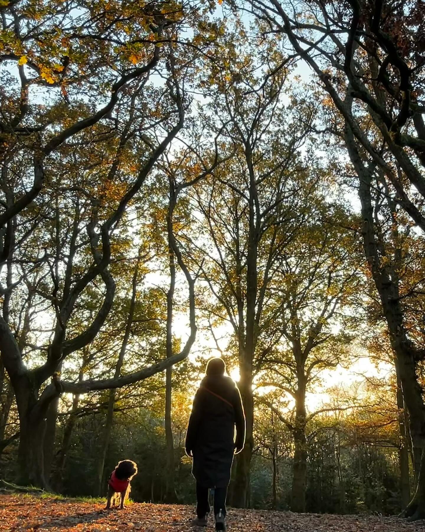 The Autumn/Winter sun literally making me glow. I love being outside in all weathers come rain, wind &amp; sun, having a dog helps get out!  Living in the city that connection to the little woods dotted around London makes me feel huge gratitude to t
