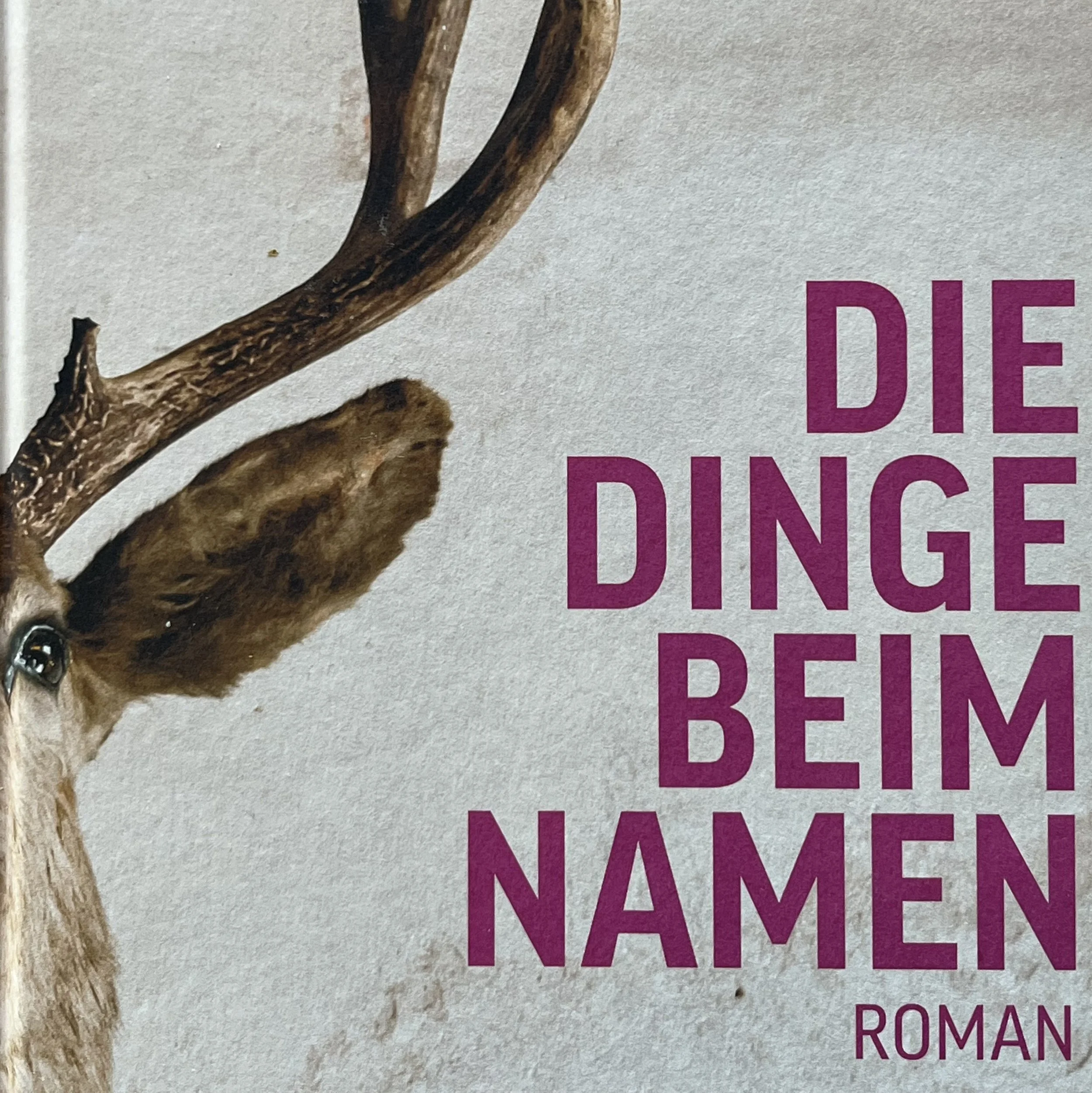 «Die Dinge beim Namen» ist ein Buch, das man nicht aus der Hand legt