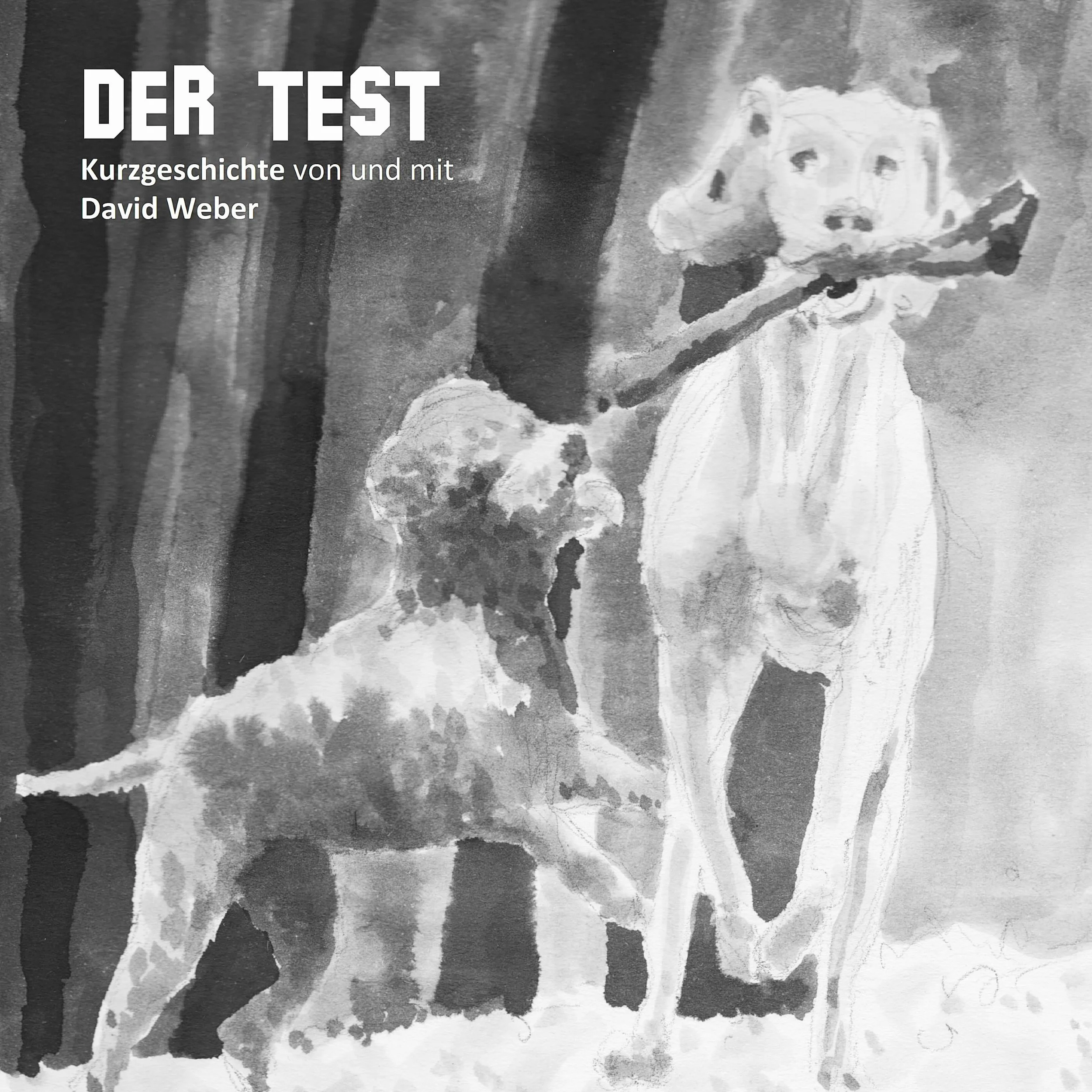 Der Test