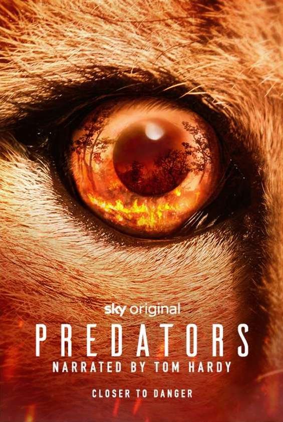 predators-4.jpg