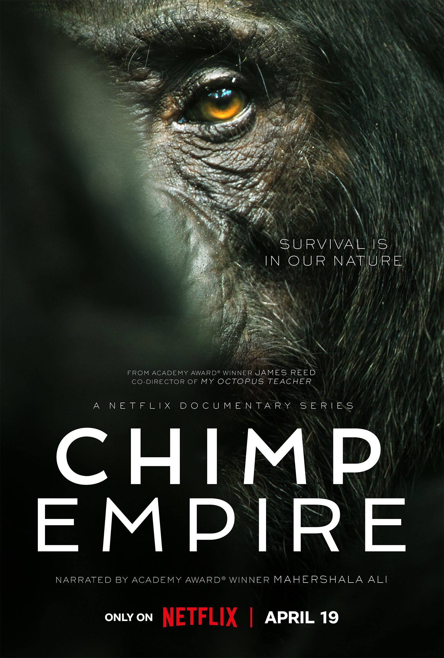 EN-US_Chimp_Empire_S1_Main_Vertical_27x40_RGB_PRE.jpg