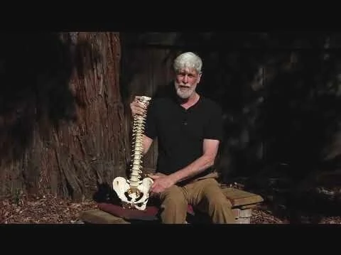 Tonetti Method Chapter One Overview