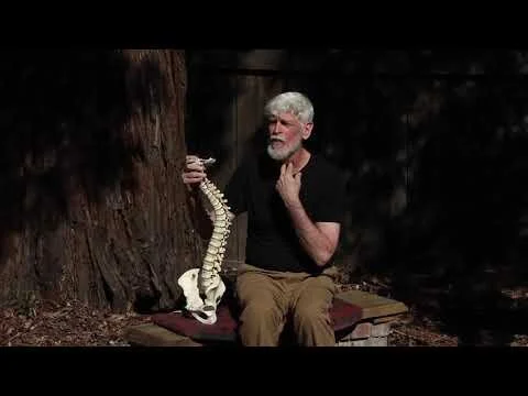 Tight Muscle Syndrome