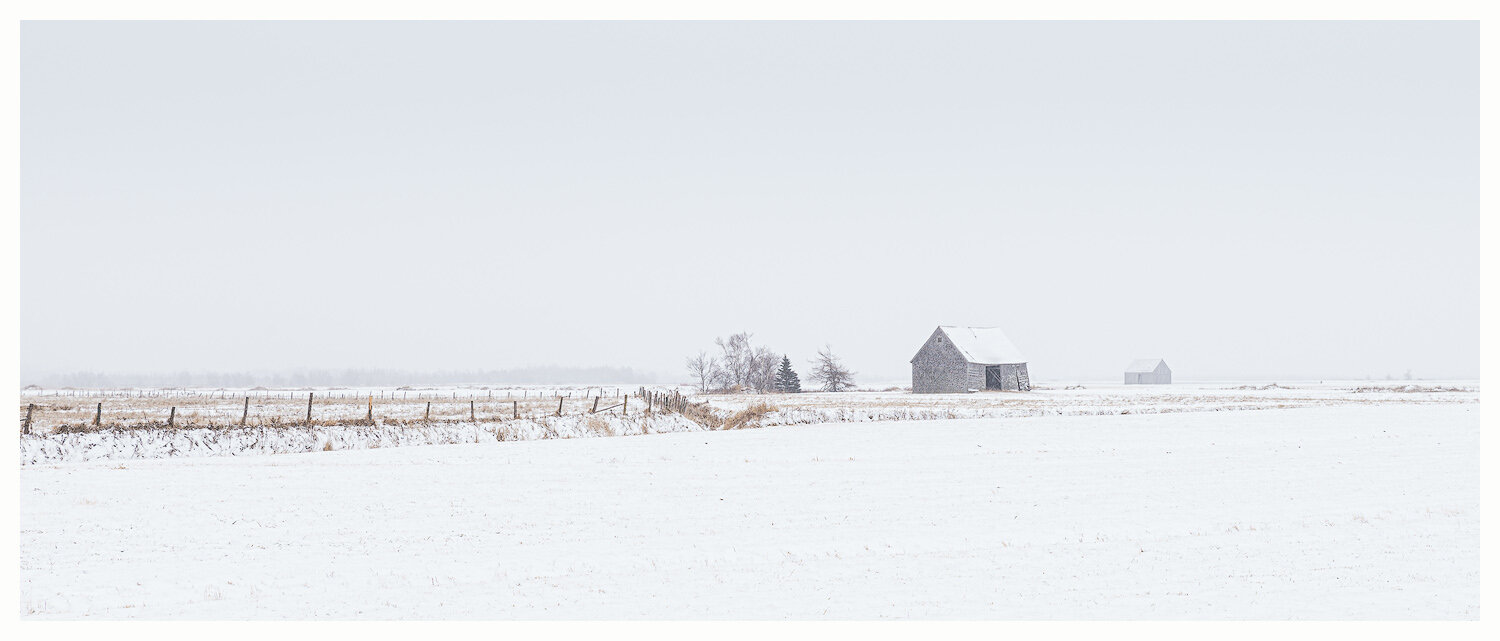 Barns in January