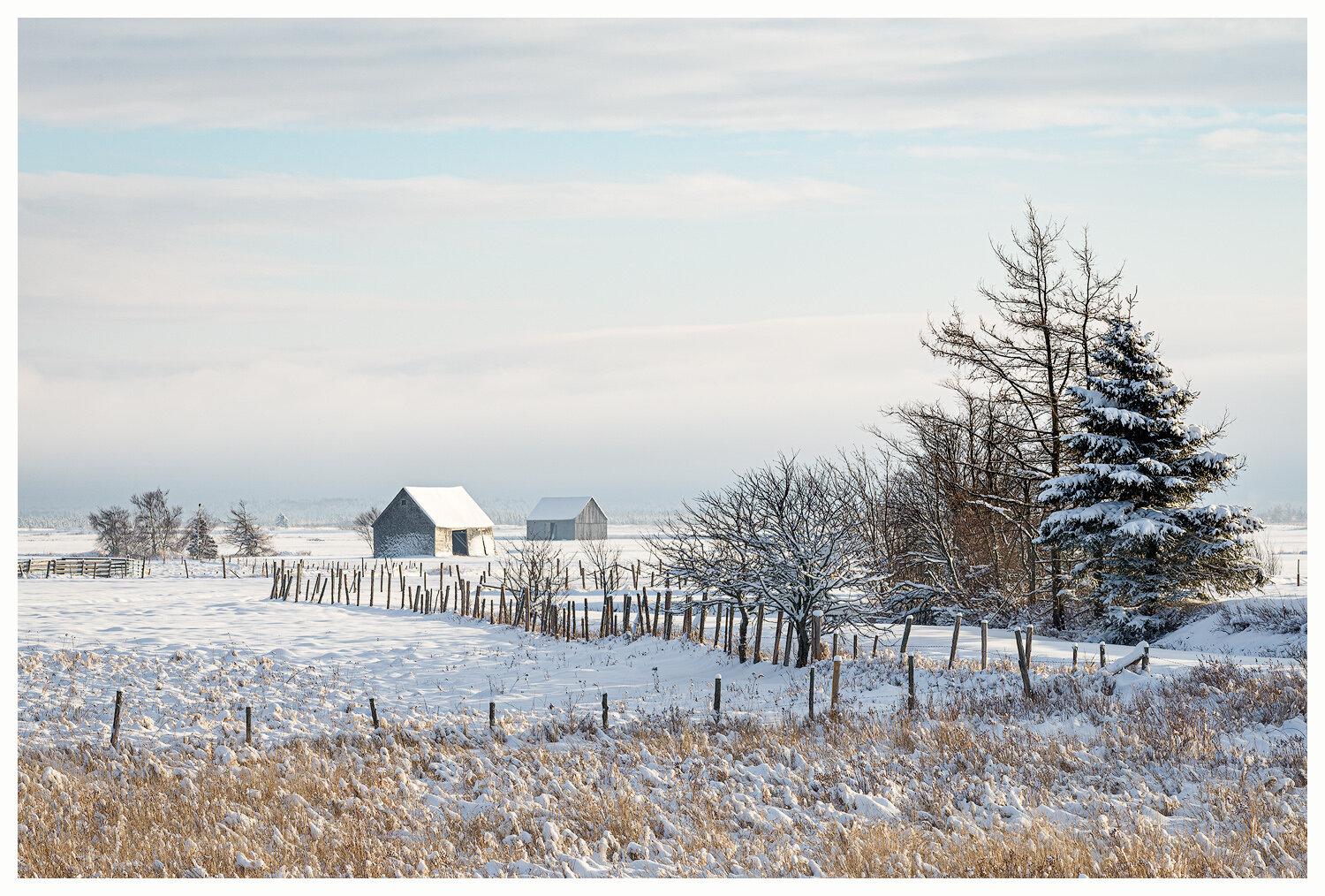 Winter Fences and Barns