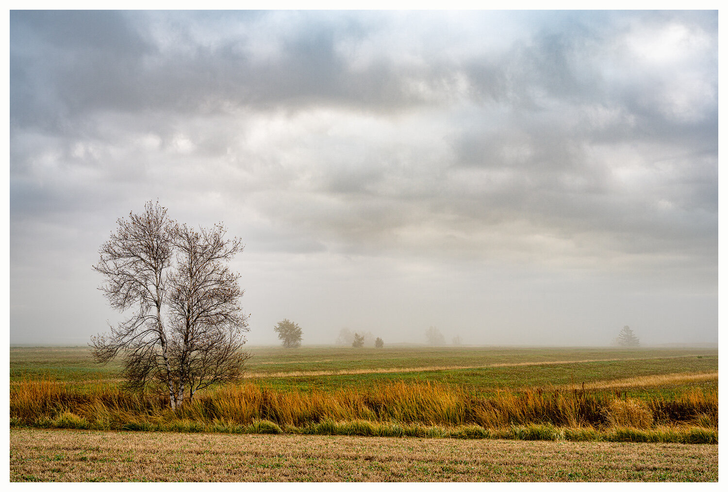 Autumn Trees and Fields