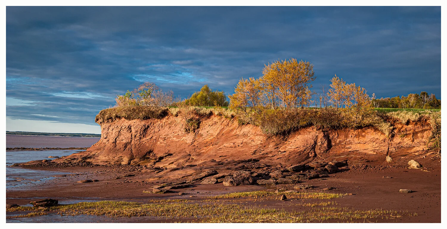 Wood Point Bluff
