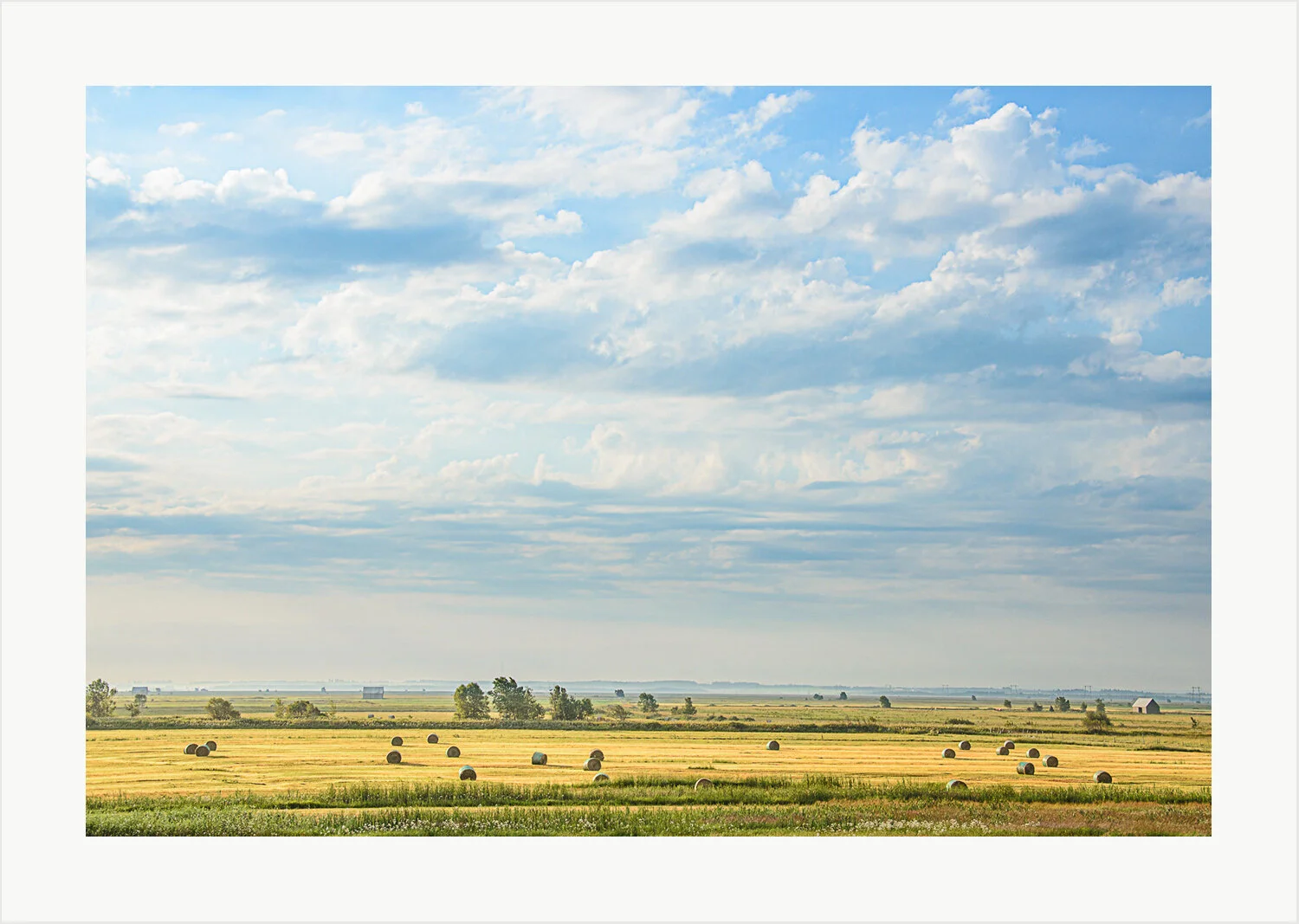2013-07-17at07-36-23.jpg