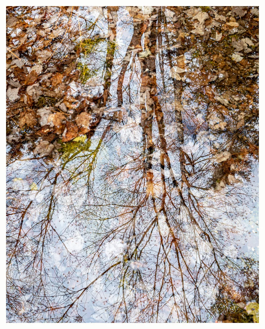 Spring Pool (3)