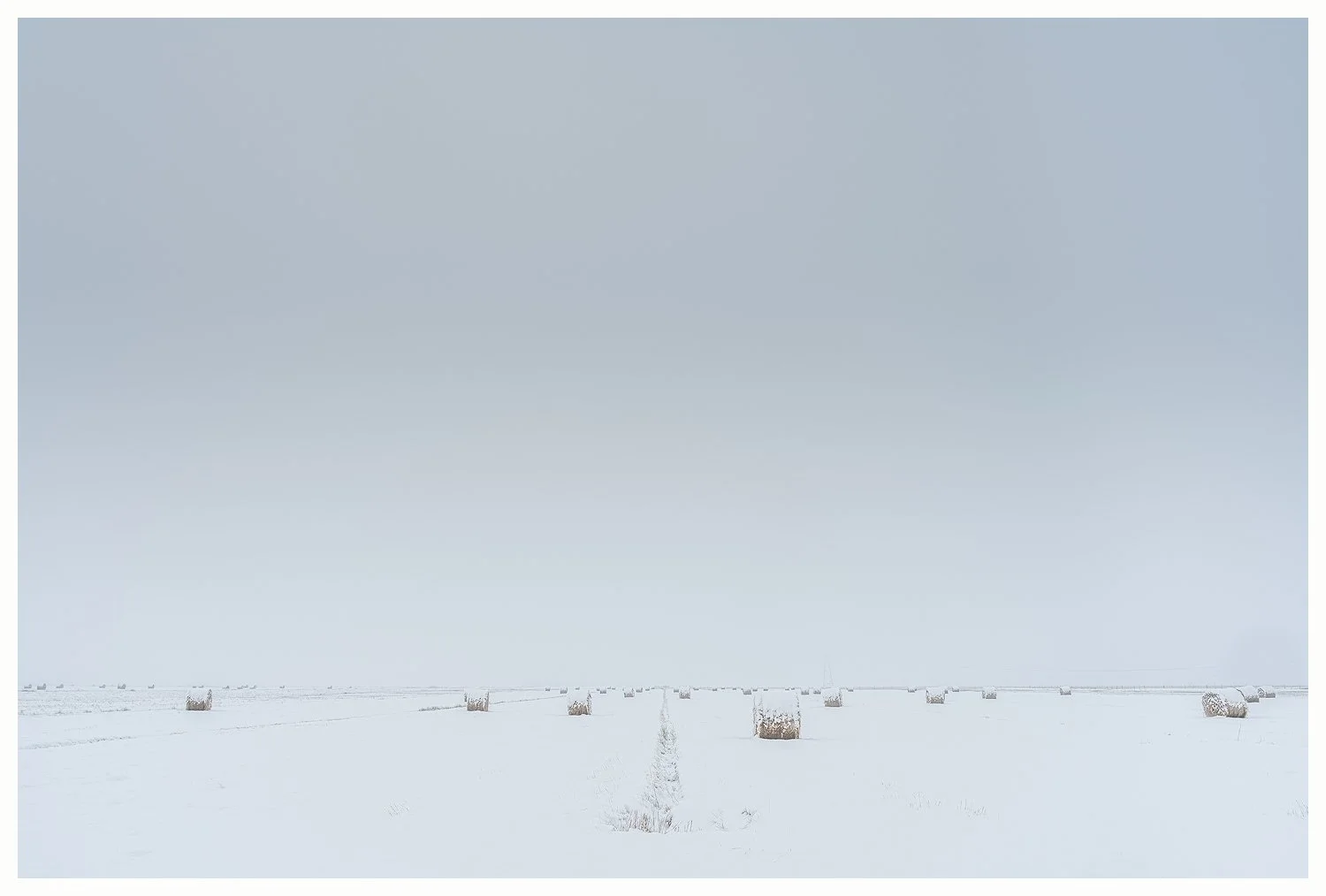 Tantramar Field, Early Winter (2)